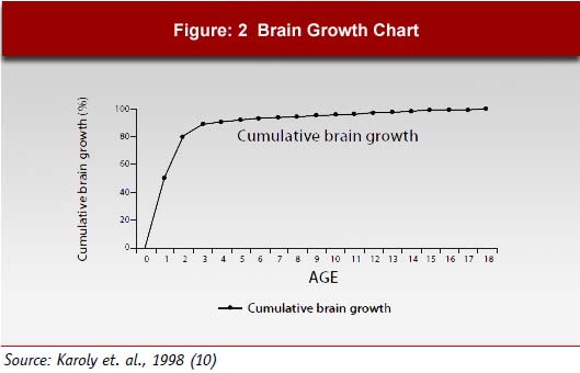 Brain Growth Chart