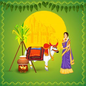 Celebrating Pongal