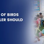Different Types Of Birds Your Preschooler Should Know And Love