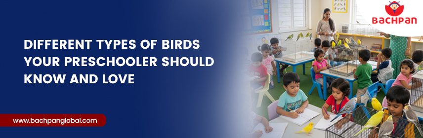 Different Types Of Birds Your Preschooler Should Know And Love