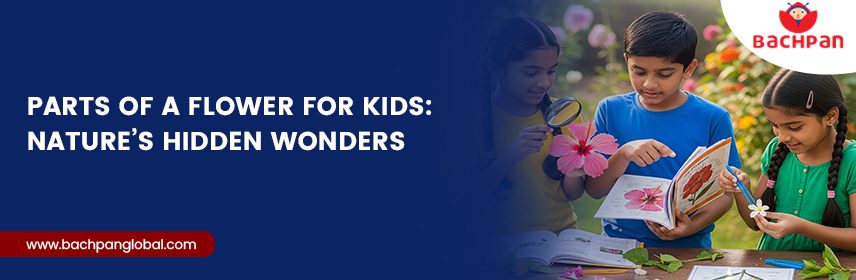 Parts of a Flower for Kids