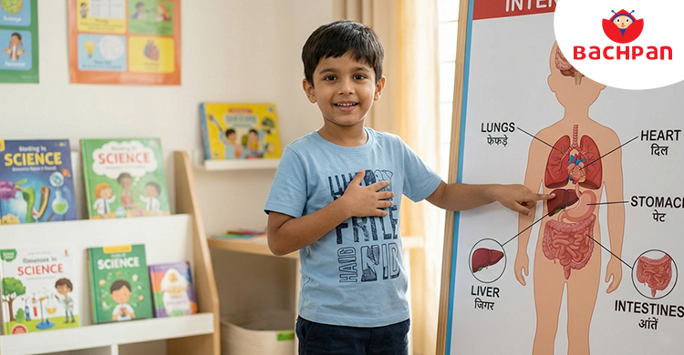 Internal Body Parts for Kids