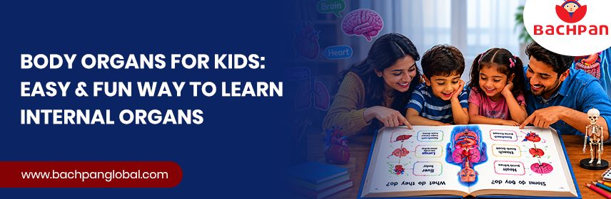 Body Organs for Kids