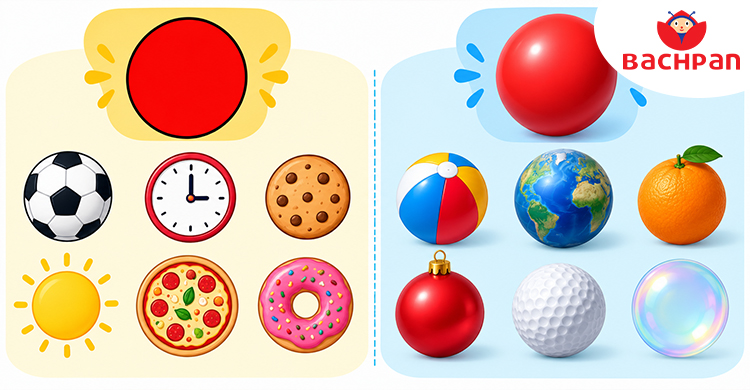 Circle shape objects showing shape names for kids through everyday examples