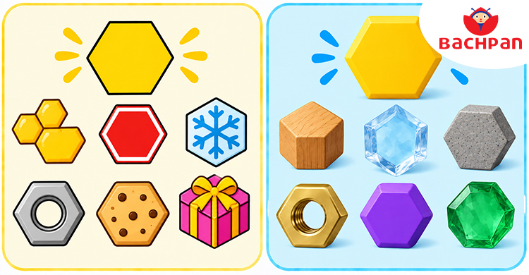 Hexagon-shaped objects for children to identify