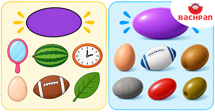 Oval shape objects helping kids learn shape names through familiar examples