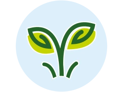 SPROUT Curriculum at Bachpan